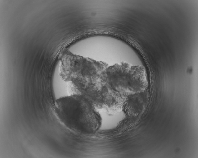 X0000115220537200912091223