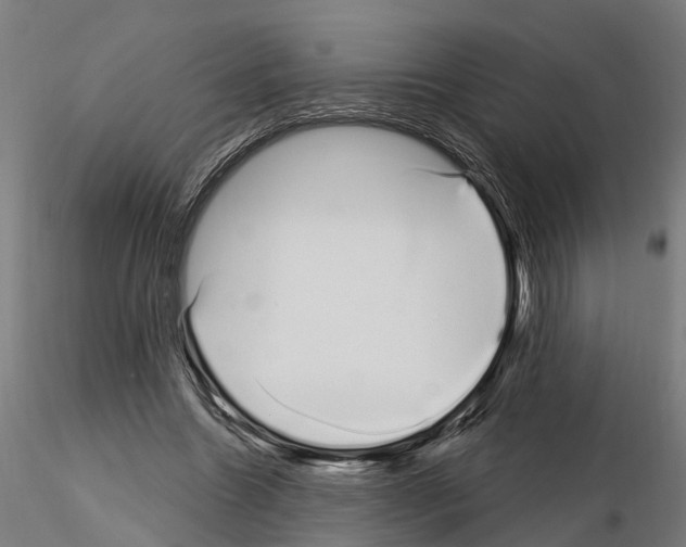 X0000115220538200912091223