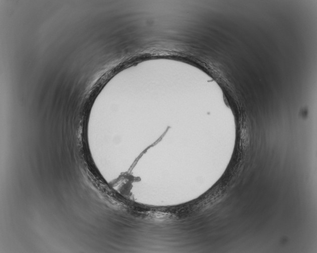 X0000115220539200912091223