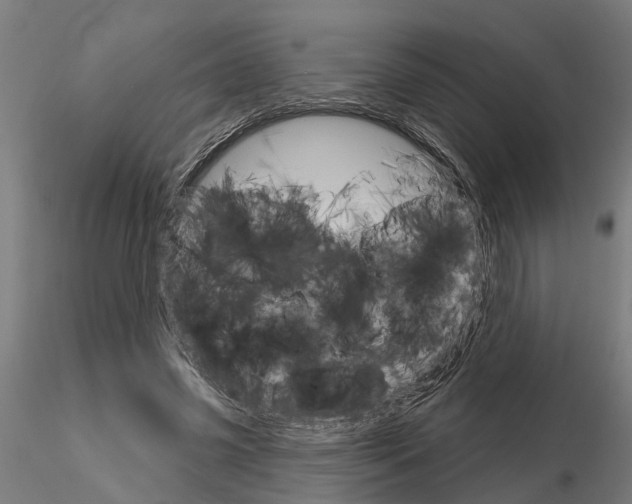 X0000115220541200912091223