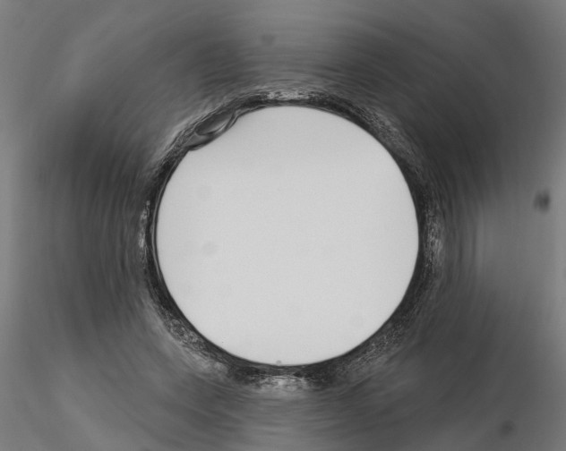 X0000115220543200912091223