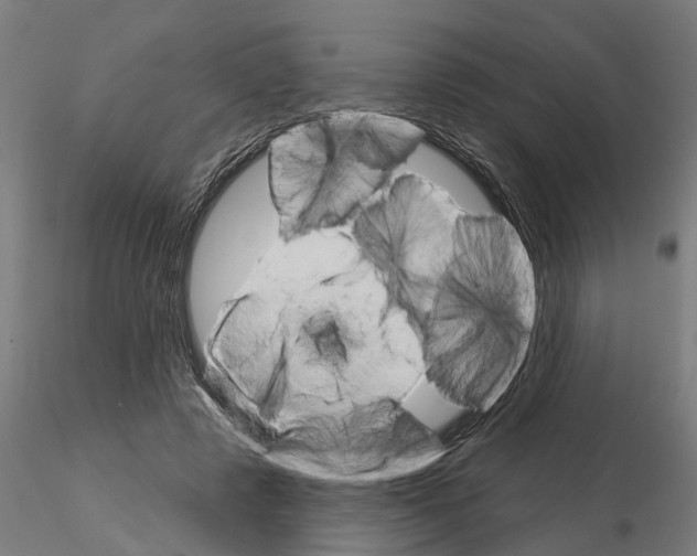 X0000115220545200912091223