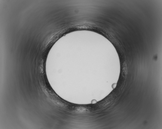 X0000115220547200912091223