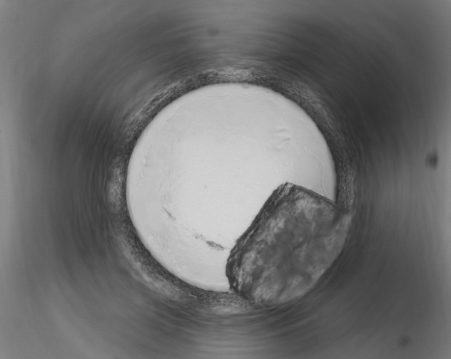 X0000115220549200912091223