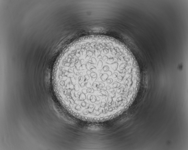 X0000115220550200912091223