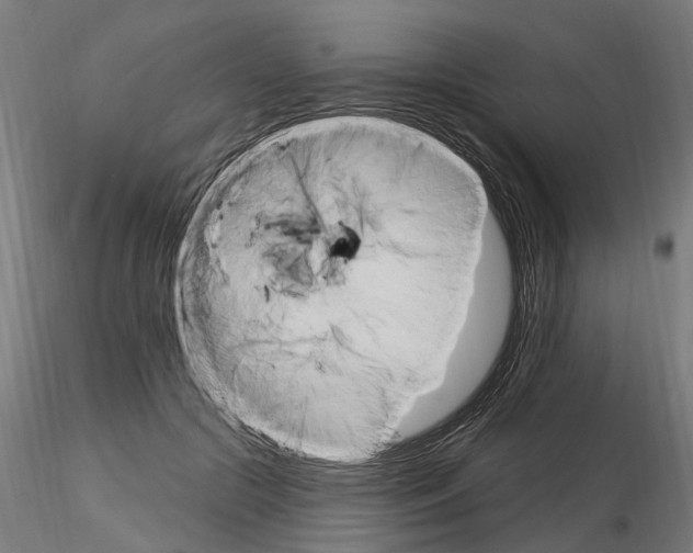 X0000115220553200912091223