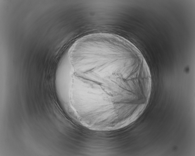 X0000115220557200912091223