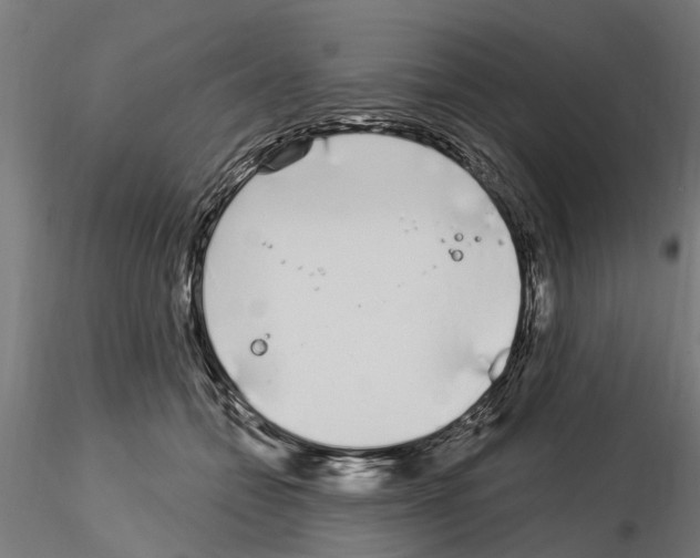 X0000115220558200912091223