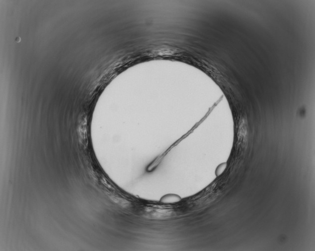 X0000115220559200912091223