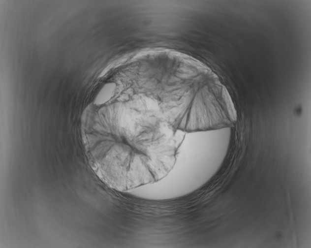 X0000115220561200912091223