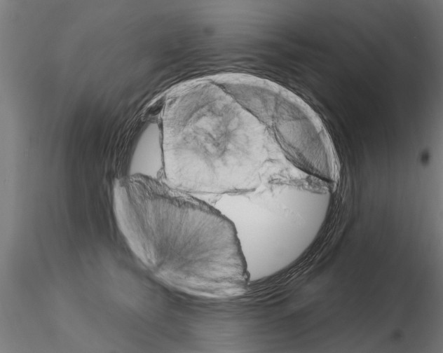 X0000115220565200912091223