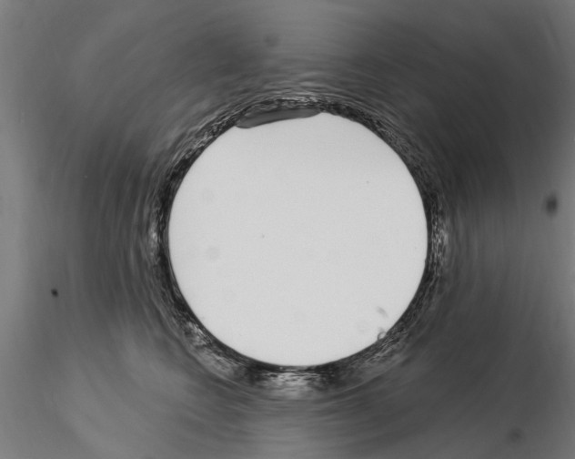 X0000115220566200912091223