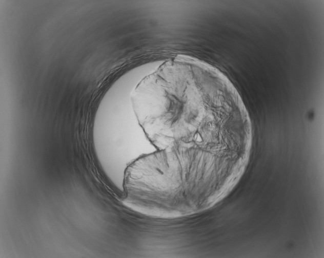 X0000115220569200912091223