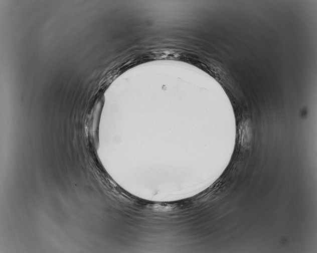 X0000115220570200912091223