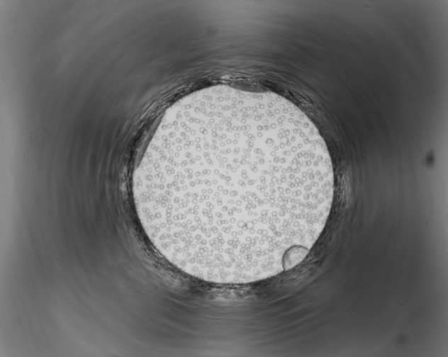 X0000115220571200912091223