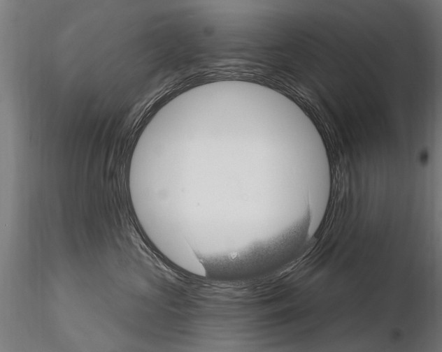 X0000115220573200912091223