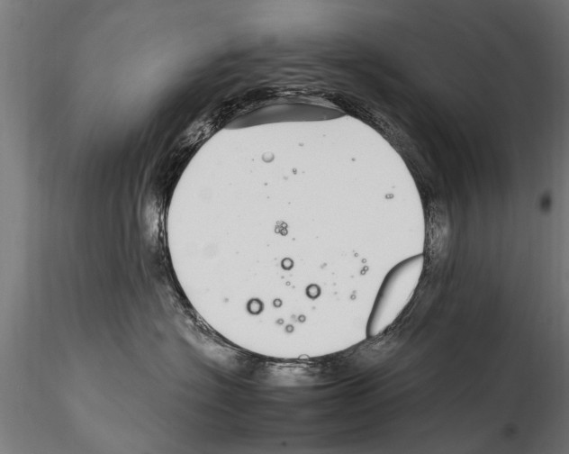 X0000115220574200912091223