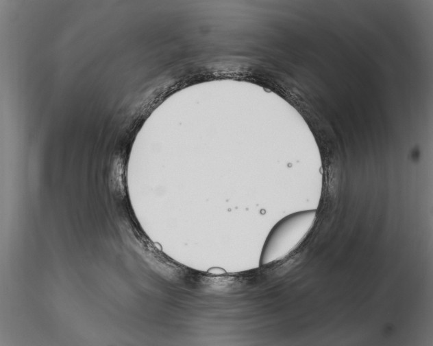 X0000115220575200912091223