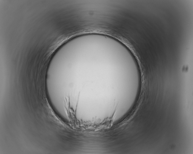 X0000115220577200912091223