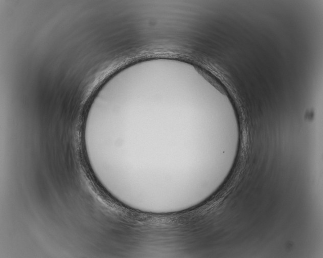 X0000115220578200912091223