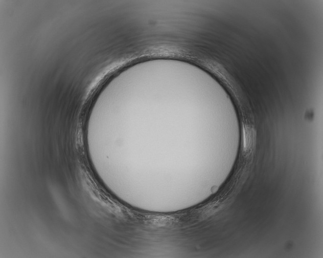 X0000115220579200912091223