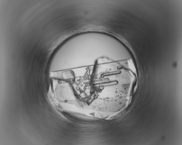 X0000115220581200912091223