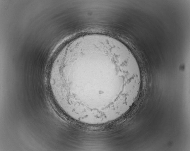 X0000115220584200912091222