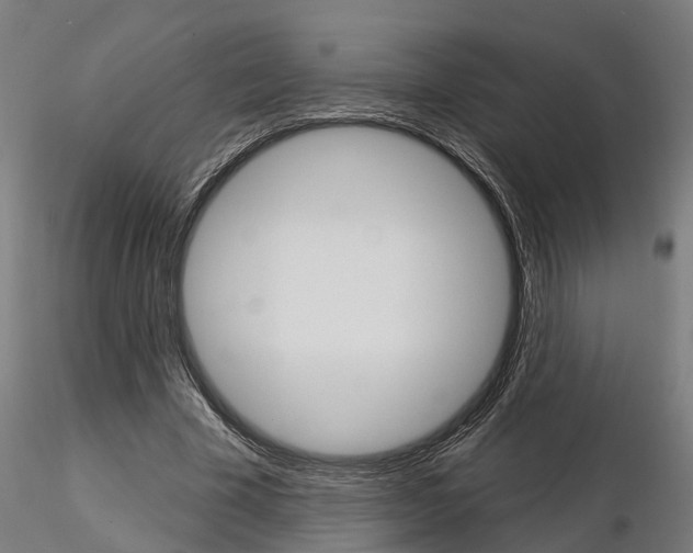 X0000115220585200912091222