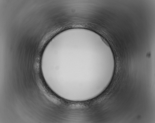 X0000115220586200912091222