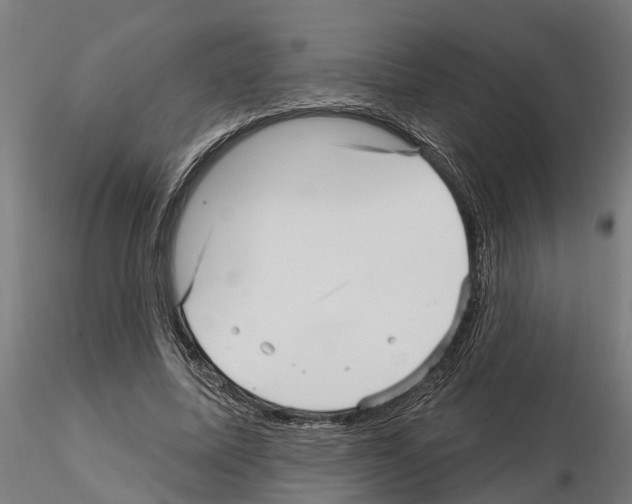 X0000115220587200912091222