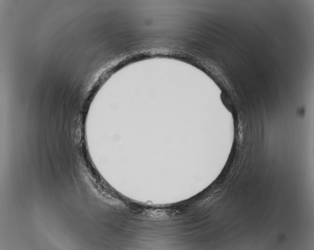 X0000115220588200912091222