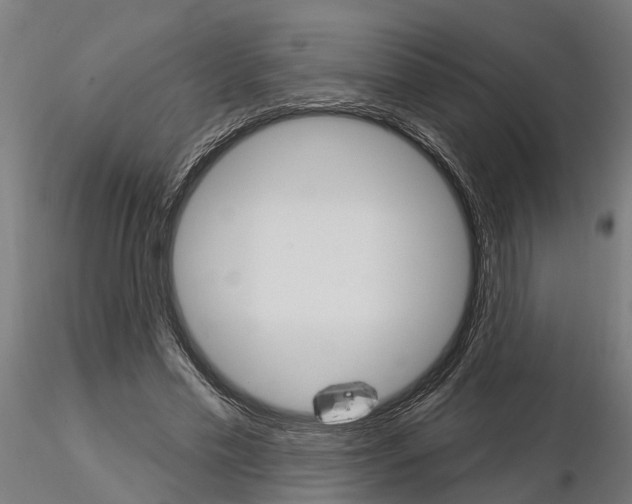 X0000115220589200912091222