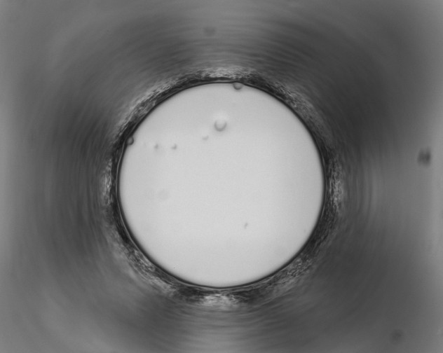 X0000115220591200912091222