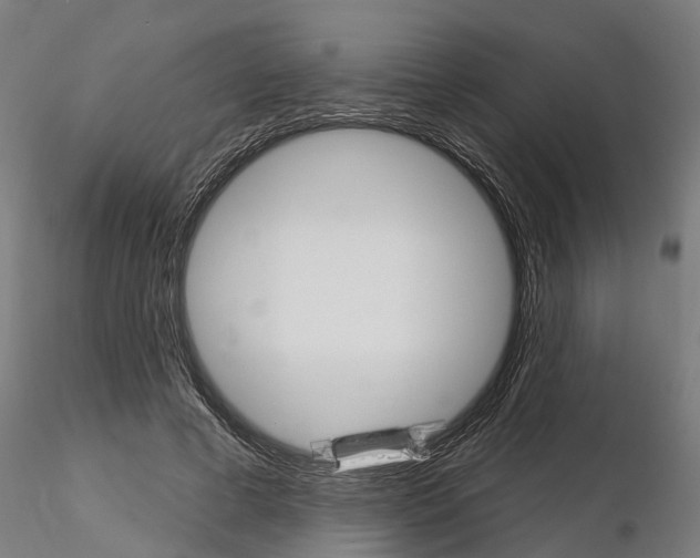 X0000115220593200912091222