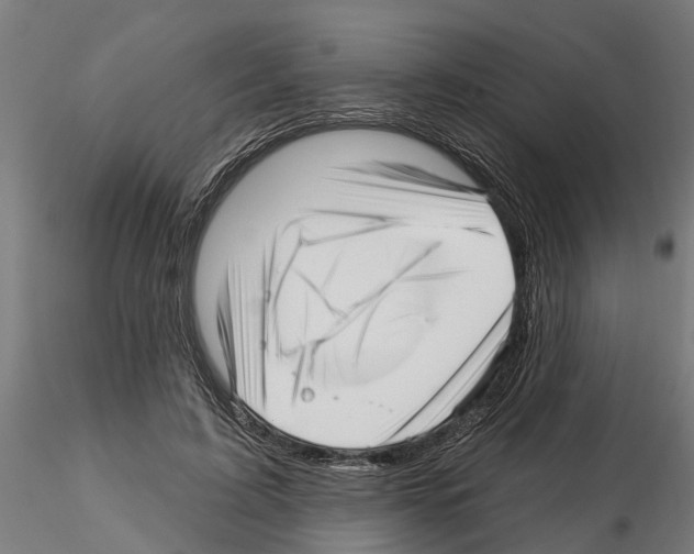 X0000115220595200912091222