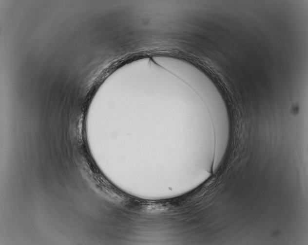 X0000115220596200912091222