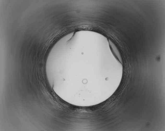 X0000115220597200912091222