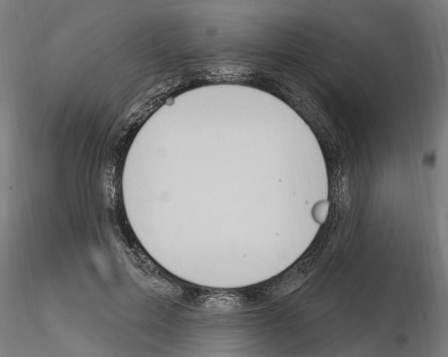 X0000115220599200912091222