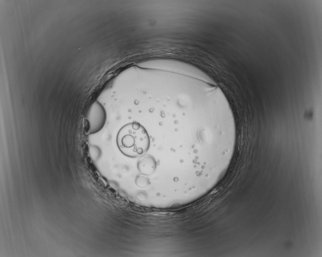 X0000115220600200912091222