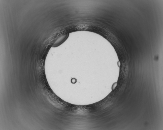 X0000115220601200912091222