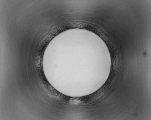 X0000115220602200912091222