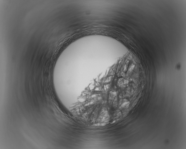 X0000115220605200912091222