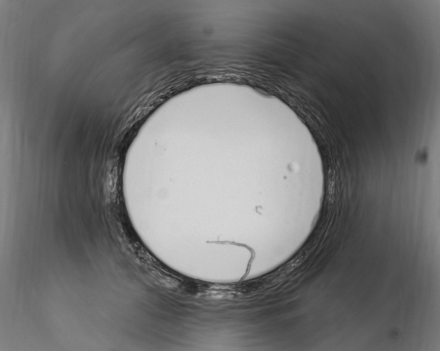 X0000115220608200912091222