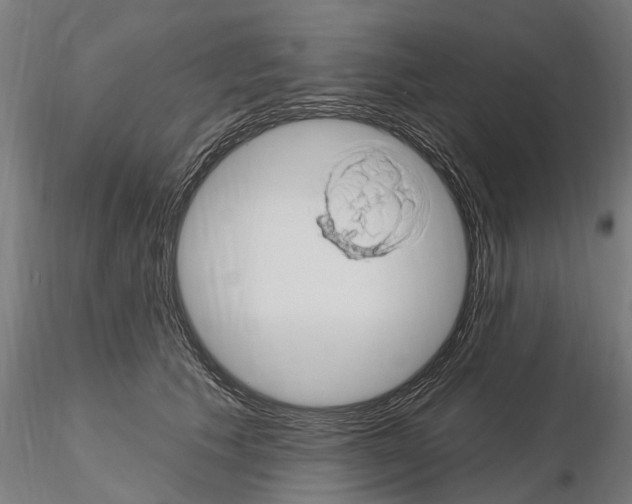 X0000115220609200912091222