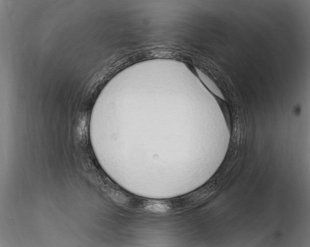 X0000115220610200912091222