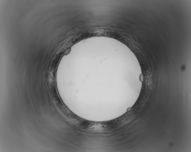 X0000115220611200912091222