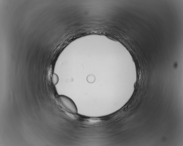 X0000115220612200912091222