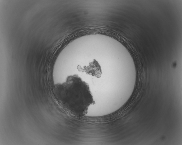 X0000115220613200912091222