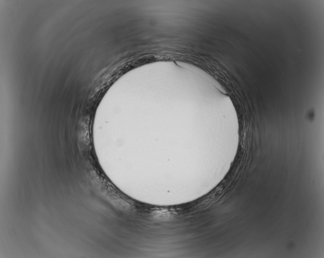 X0000115220616200912091222