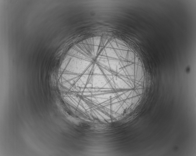 X0000115220622200912091222